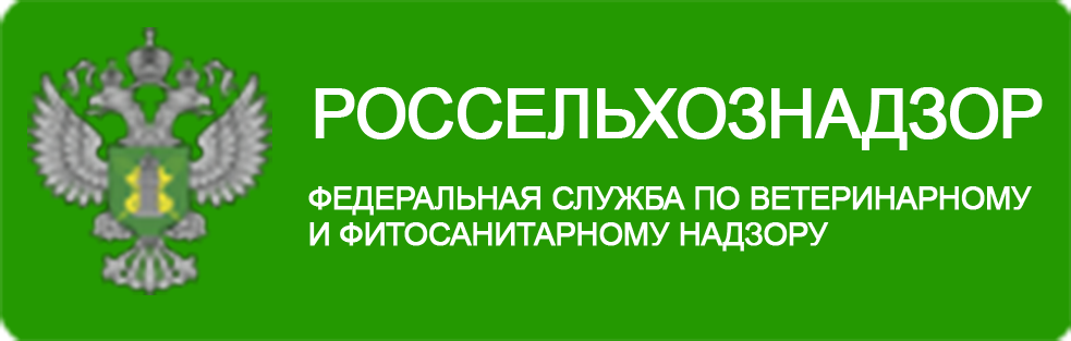 Сэс нальчик. Единое окно Орел. ФГБУ САС Солянская презентация. ФГБУ САС Солянская территориальный охват.